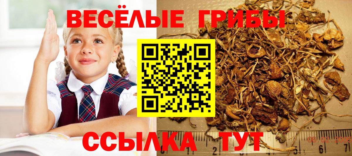 наркотики  Галлюциногенные грибы Magic Shrooms  Вход с VPN  Карпинск  Галлюциногенные грибы прущие грибы 